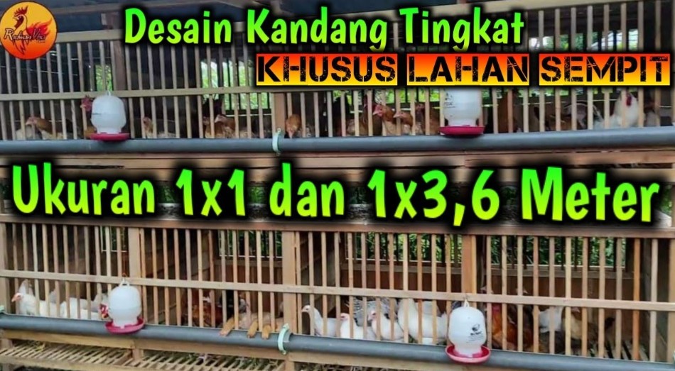 Model Kandang Ayam di Lahan Sempit